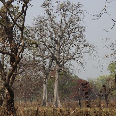 Babai Resort Pvt Ltd Bardiya Eksteriør bilde
