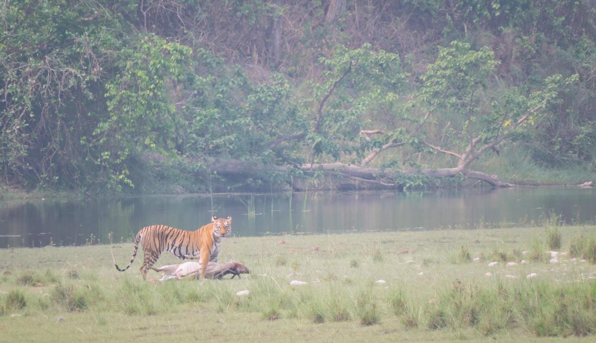 Babai Resort Pvt Ltd Bardiya Eksteriør bilde