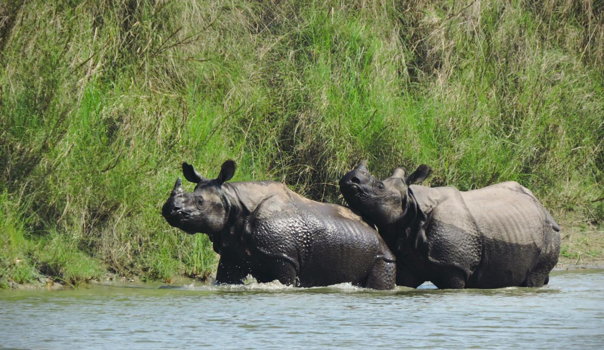 Babai Resort Pvt Ltd Bardiya Eksteriør bilde