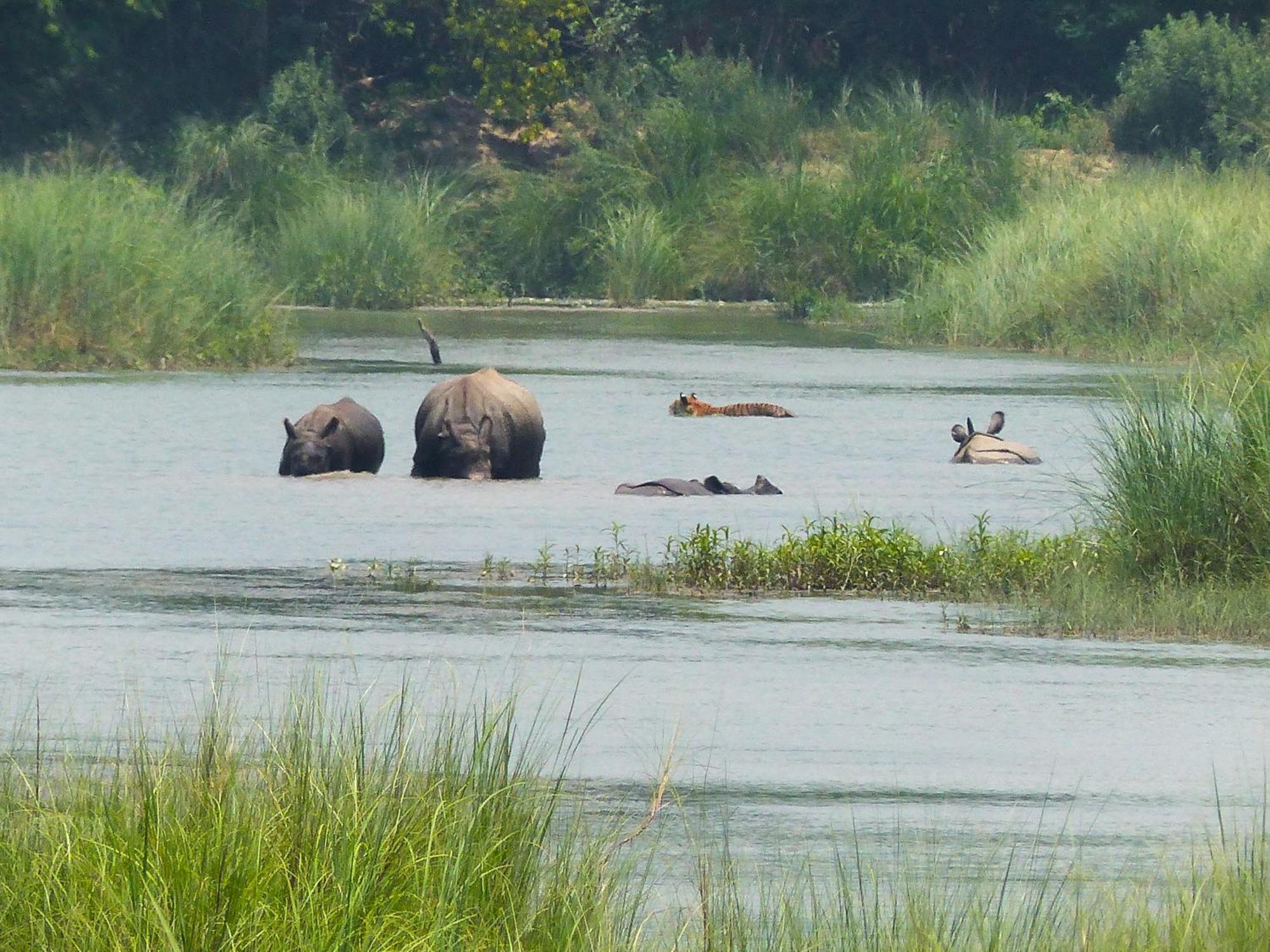 Babai Resort Pvt Ltd Bardiya Eksteriør bilde